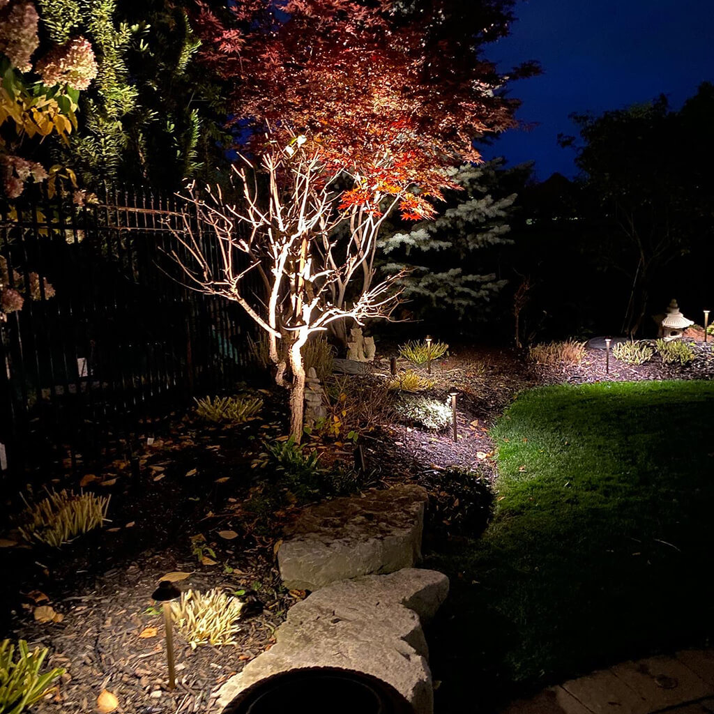 OLA-_0009_6573AFAF-45F2-4510-AB18-483E71F5126A