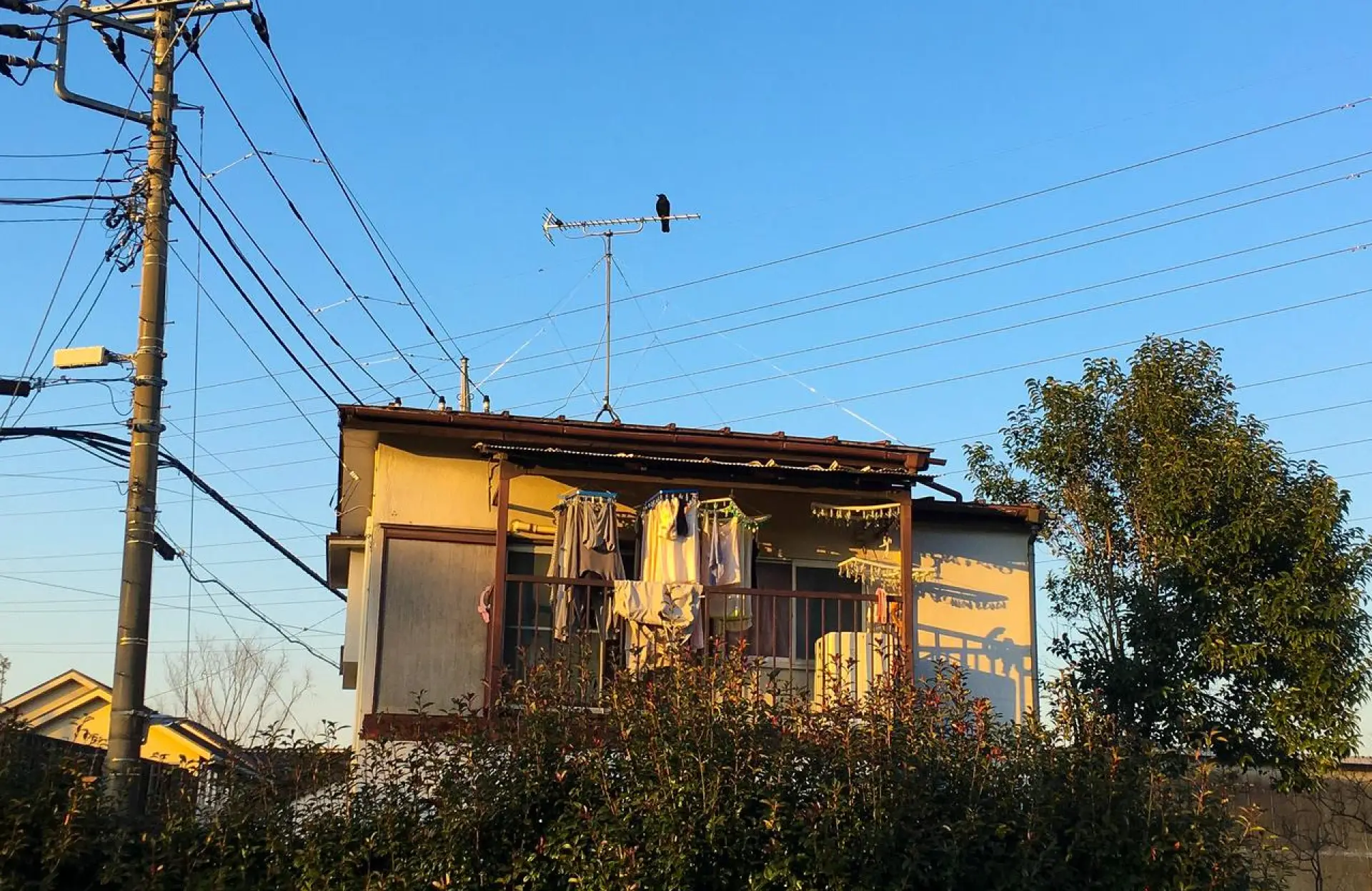 Electrical Considerations from Neighborhoods